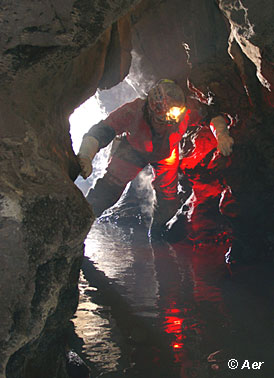 07260040