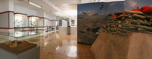Museo2B