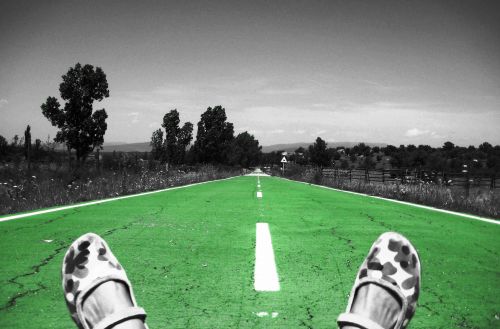 martes by bike (4)