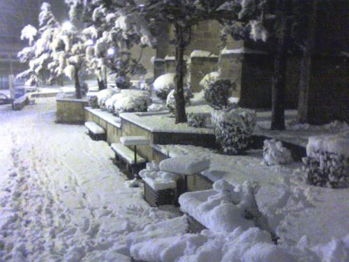 menuda nevada 2009