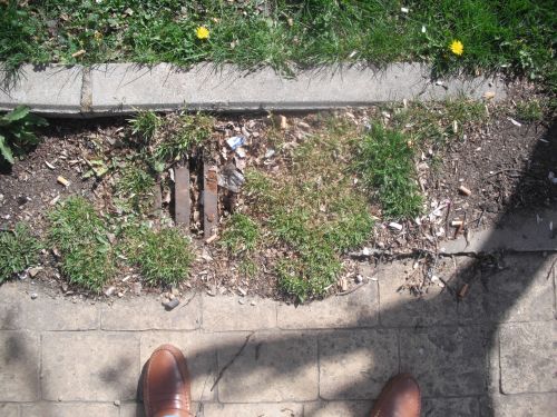 desag&Atilde;&frac14;e recalificado en zona verde n&Acirc;&ordm;1.JPG