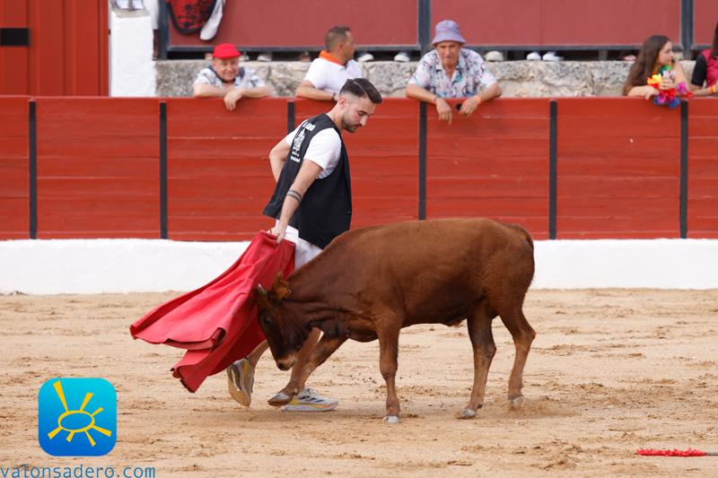 Fiestas de El Burgo de Osma Becerrada y bajada a Plaza Mayor