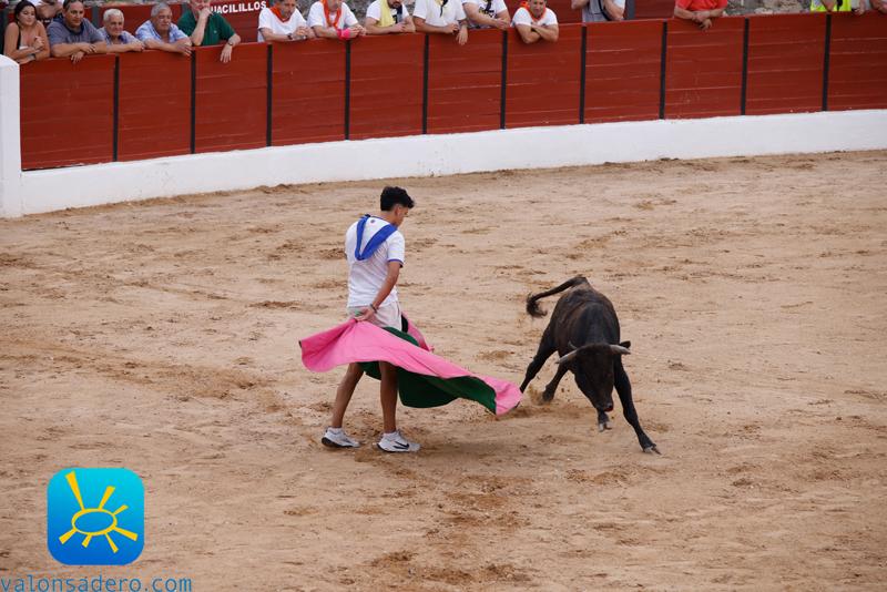 Fiestas de El Burgo de Osma Becerrada y bajada a Plaza Mayor