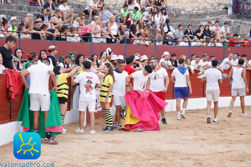 Fiestas de El Burgo de Osma Becerrada y bajada a Plaza Mayor