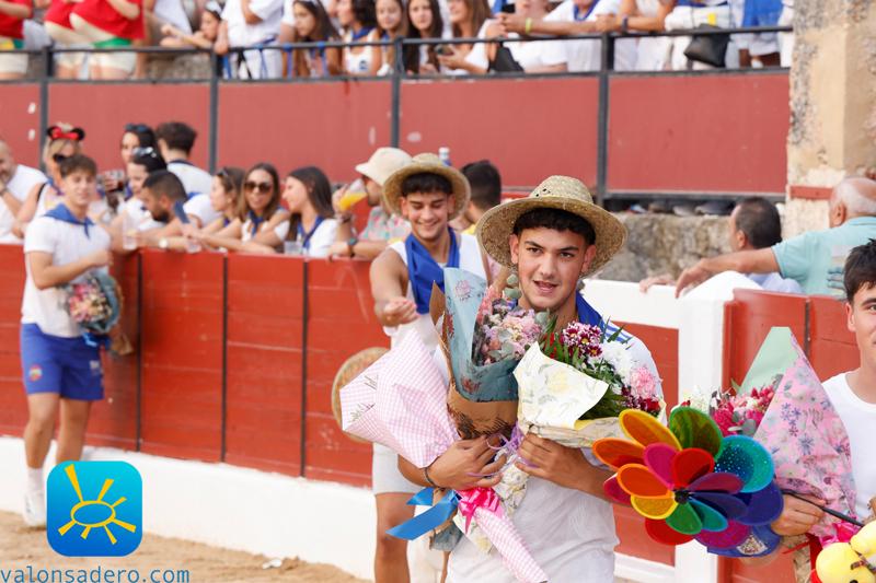 Fiestas de El Burgo de Osma Becerrada y bajada a Plaza Mayor