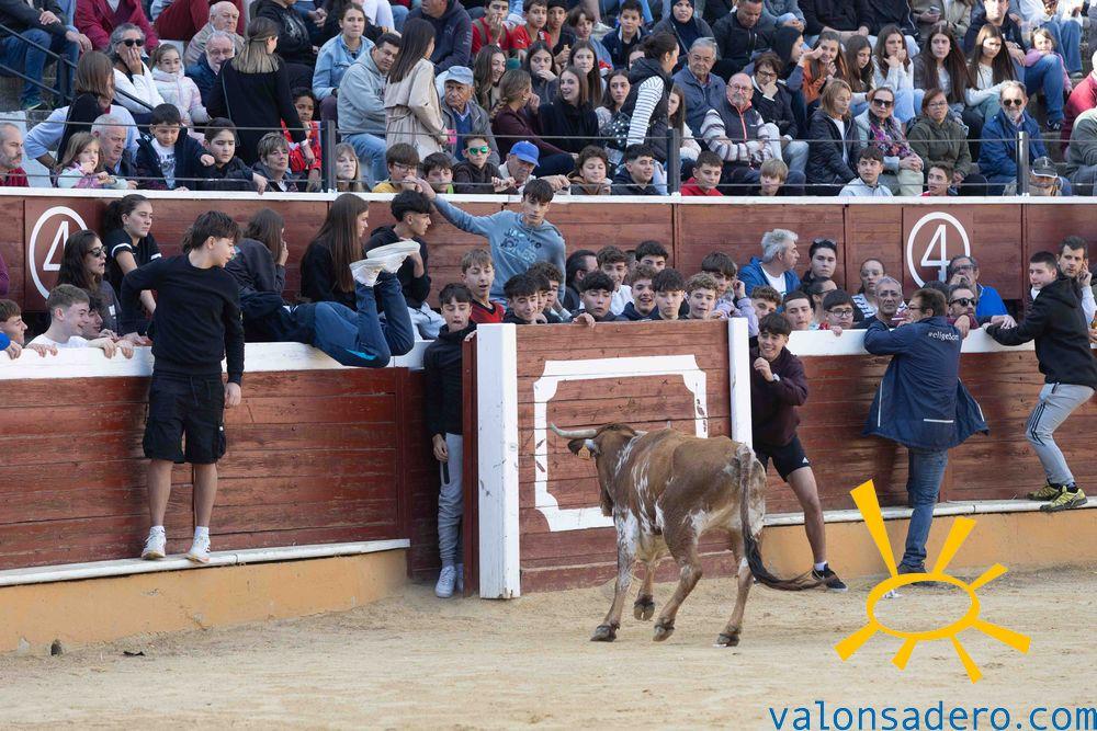 San Saturio: Vaquillas