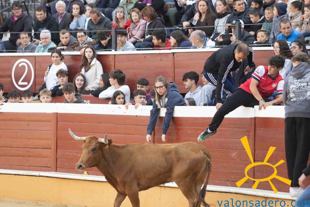 San Saturio: Vaquillas