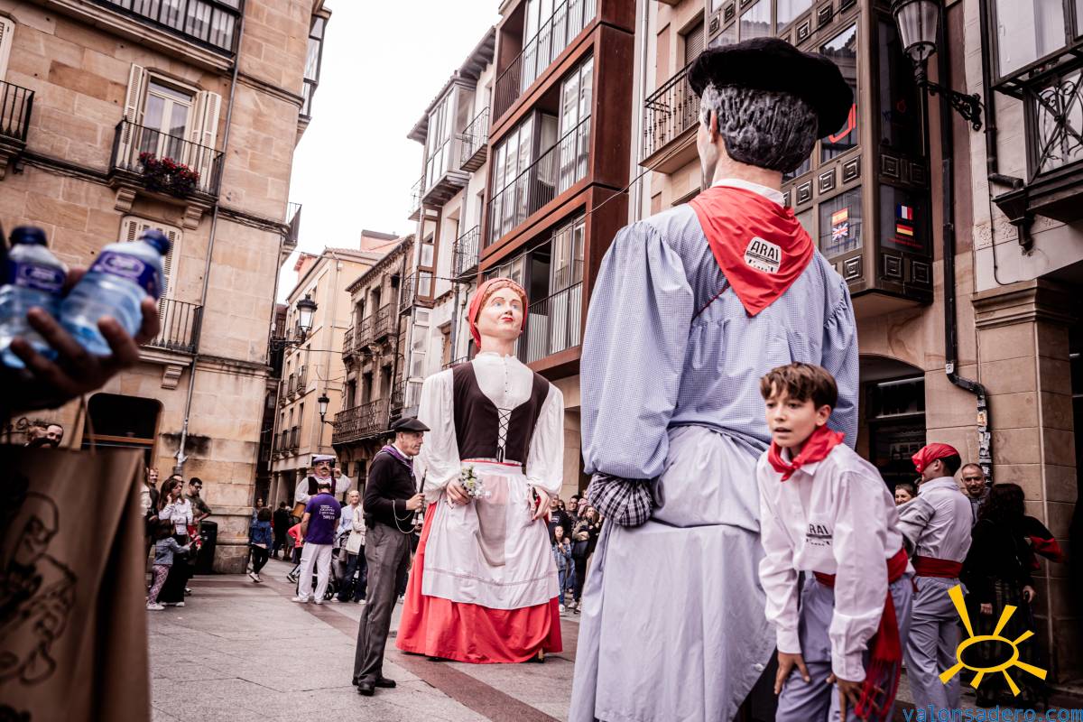 Gigantes y cabezudos por San Saturio
