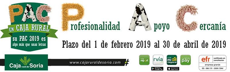 Pregón Carnaval 2019