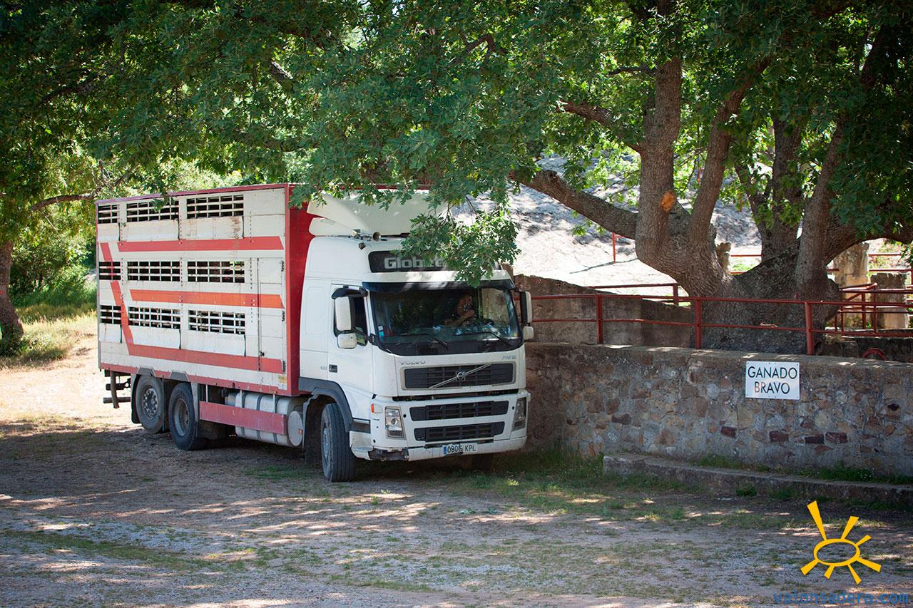 Desencajonamiento 2020