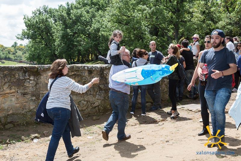 Desencajonamiento 2017