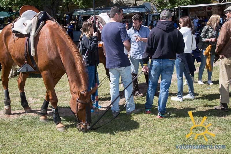 Lavalenguas mañana 2019