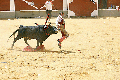 Viernes de Toros 2009 - 1