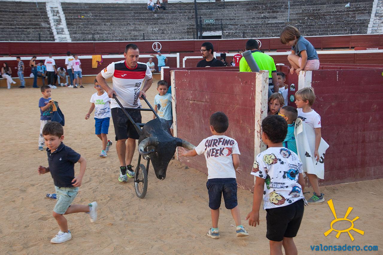 Vaquillas San Saturio 2023