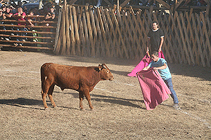 Fiestas Vinuesa 2008