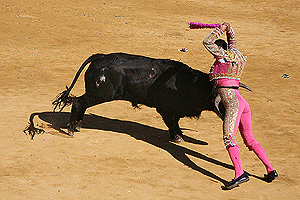 Viernes de Toros 2008 - 2