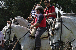 Jueves La Saca 2008 - 1