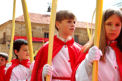 Domingo de Ramos 2006