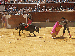 Viernes de Toros 05 - 1