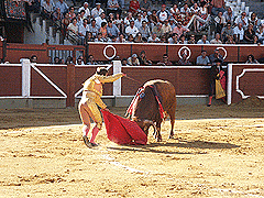 Toros miercoles el pregón