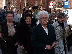 Procesión Domingo de Ramos, Caidas y Sto. Entierro.
