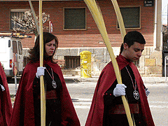 Procesión Domingo de Ramos, Caidas y Sto. Entierro.