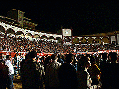 Tour Dial Ron Brugal 2004