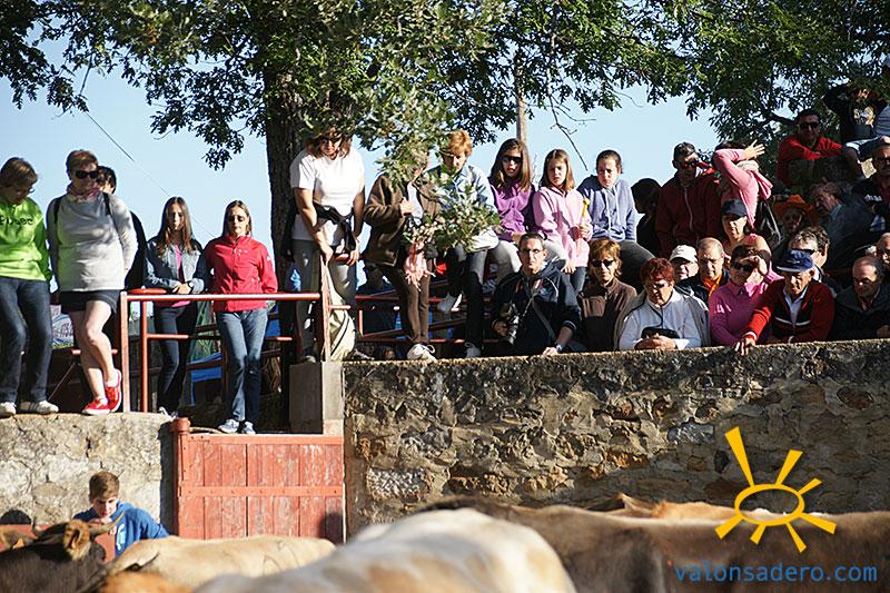 La Compra Mañana JG 2014