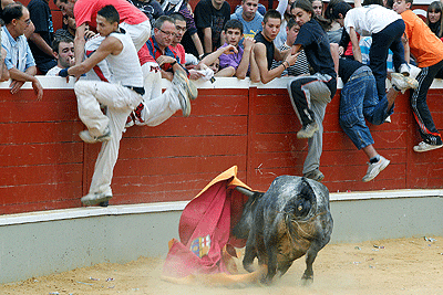 Vaquillas San Saturio 2009