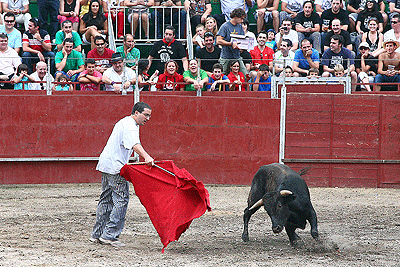 Fiestas de Navaleno 2009