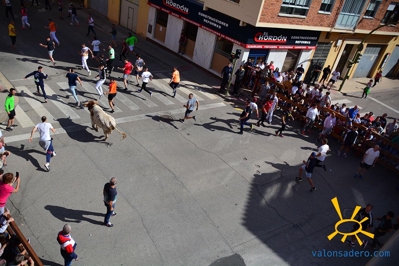 Encierros Soria 2022