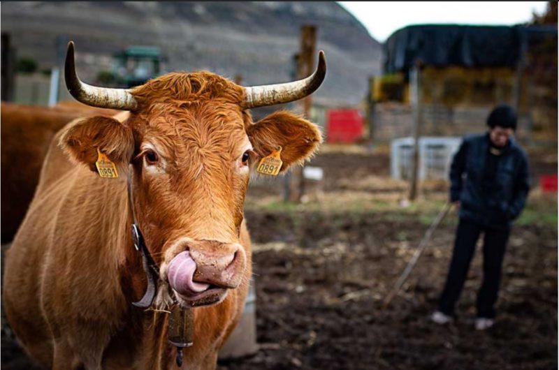 FESTIVAL ON PHOTO SORIA 