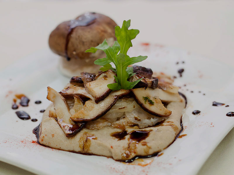 XVI EDICIÓN DE LA TAPA MICOLÓGICA