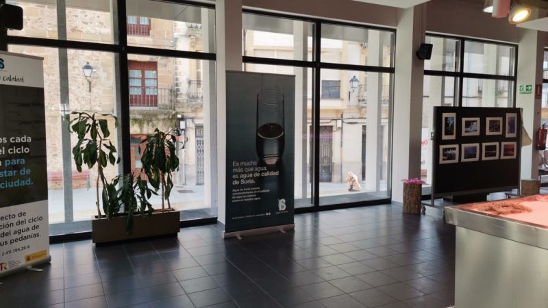 EXPOSICIÓN CONCURSO DE FOTOGRAFÍA 