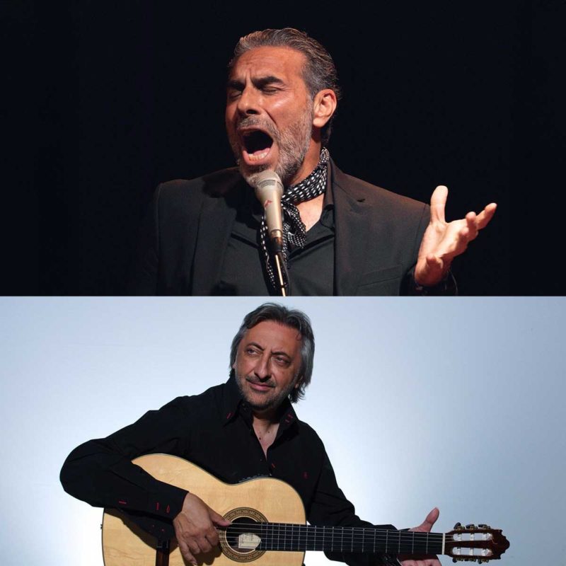 FESTIVAL DE TRANSFUSIÓN FLAMENCA - `ALMA DE LA ALHAMBRA´