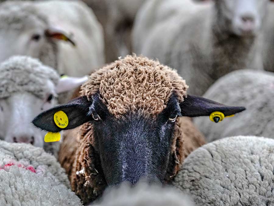 FESTIVAL ON PHOTO SORIA 