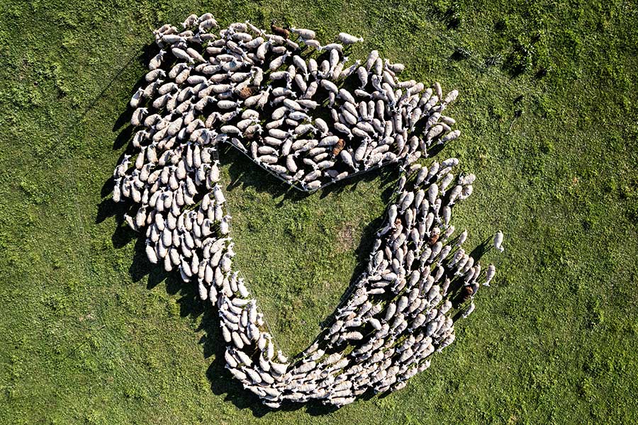 FESTIVAL ON PHOTO SORIA 