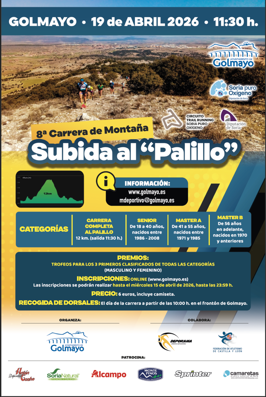 VIII CARRERA DE MONTAÑA SUBIDA AL PALILLO