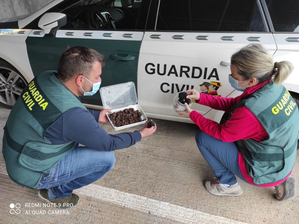 La Guardia Civil detiene a tres personas como presuntas autoras de un robo continuado de trufas