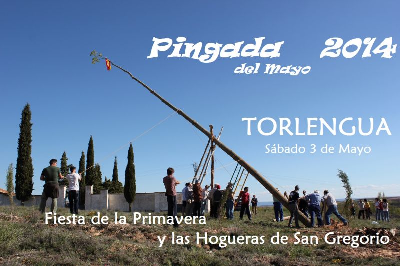 TORLENGUA PINGARÁ SU MAYO POR TERCER AÑO CONSECUTIVO