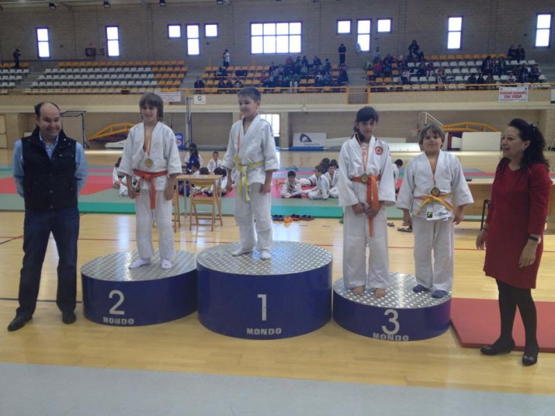 GRAN PARTICIPACIÓN EN EL IX CAMPEONATO DE PROMOCIÓN DE JUDO CAEP SORIA