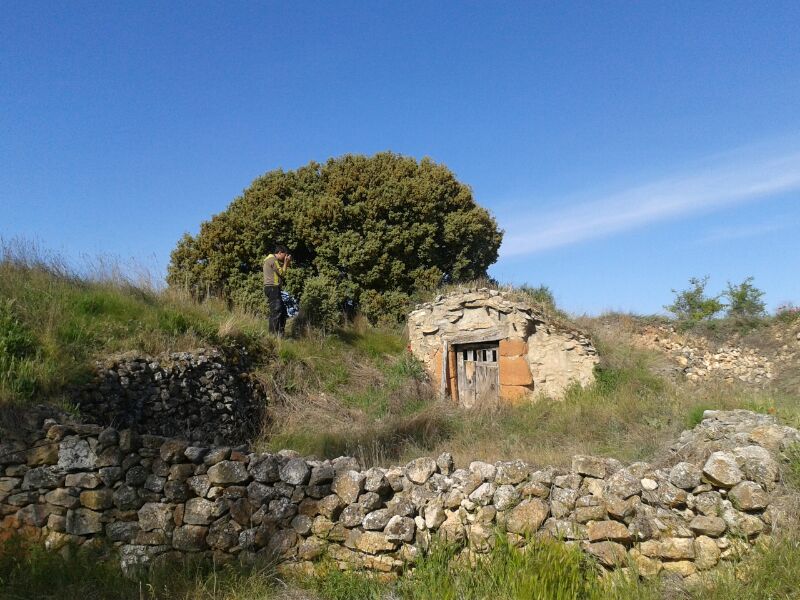 85 PERSONAS PARTICIPAN EN EL XXIII RALLYE FOTOGRÁFICO ?MANUEL LAFUENTE CALOTO? CELEBRADO HOY DOMINGO EN TIERRAS DE BERLANGA DE DUERO