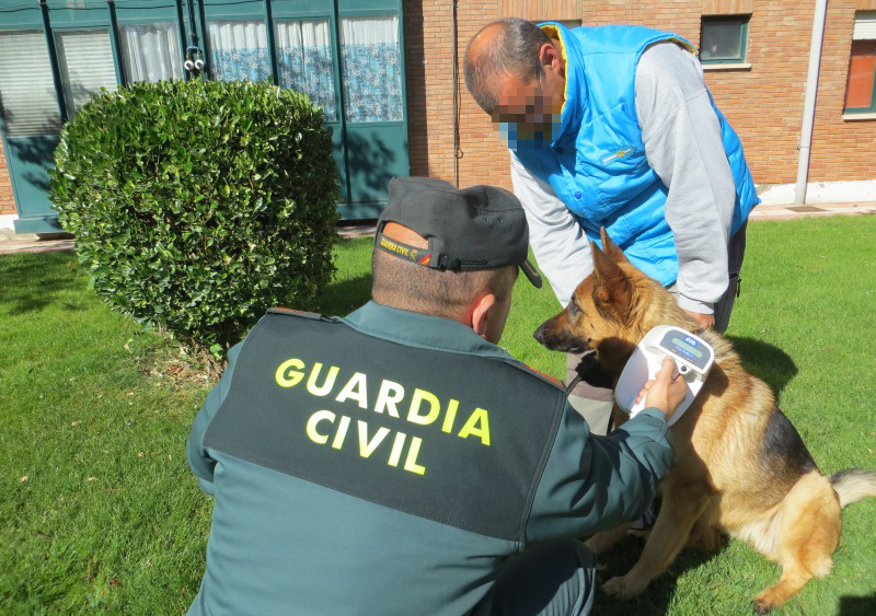 La Guardia Civil va a poner en marcha una campaña de control e identificación de animales de raza canina.
