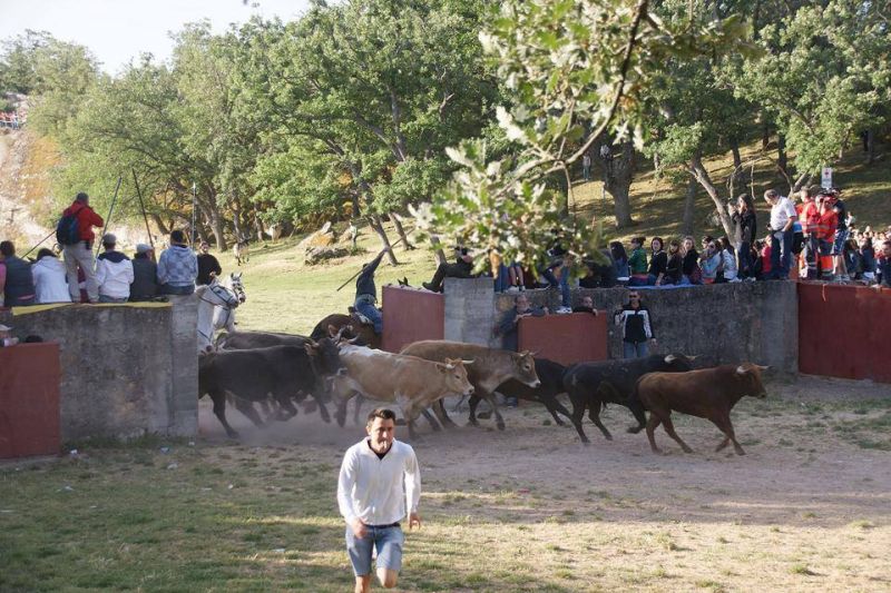 Más de 20.000 personas se dieron cita en Valonsadero para celebrar el tradicional festejo de La Compra