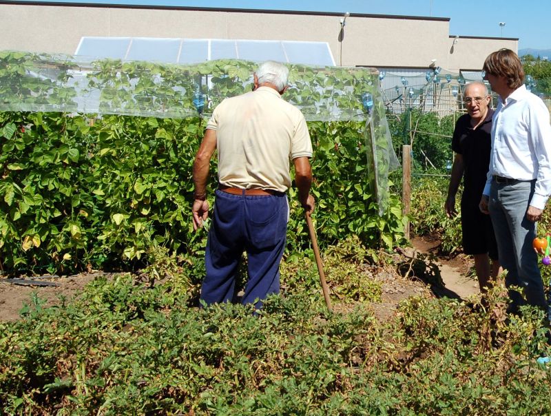 Los 80 huertos municipales se encuentran al cien por cien de ocupación tras una inversión de 85.000 euros en dos fases