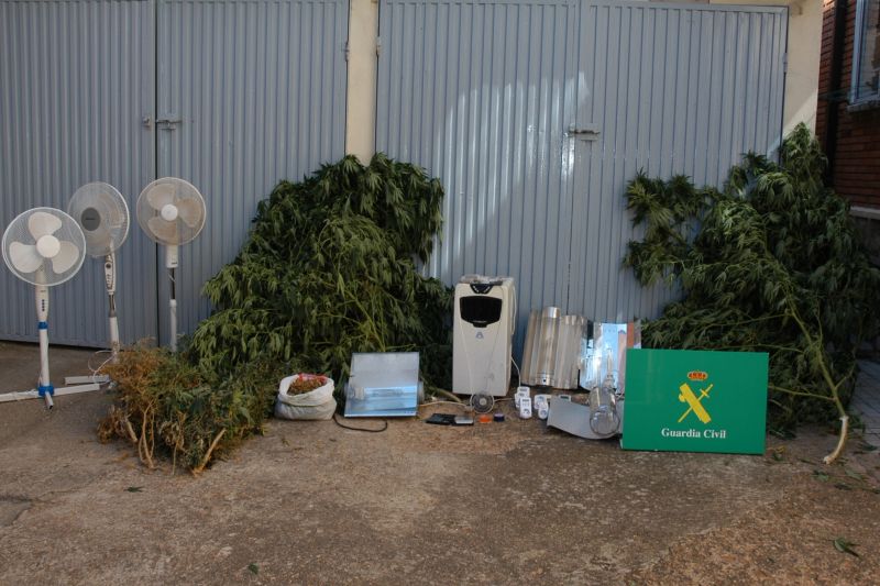 La Guardia Civil detiene a dos personas en Los Rábanos por, presuntamente, cultivar y elaborar marihuana