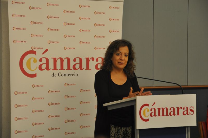 Los socialistas españoles en la eurocámara reclaman una estrategia integral para las pequeñas y medianas empresas  