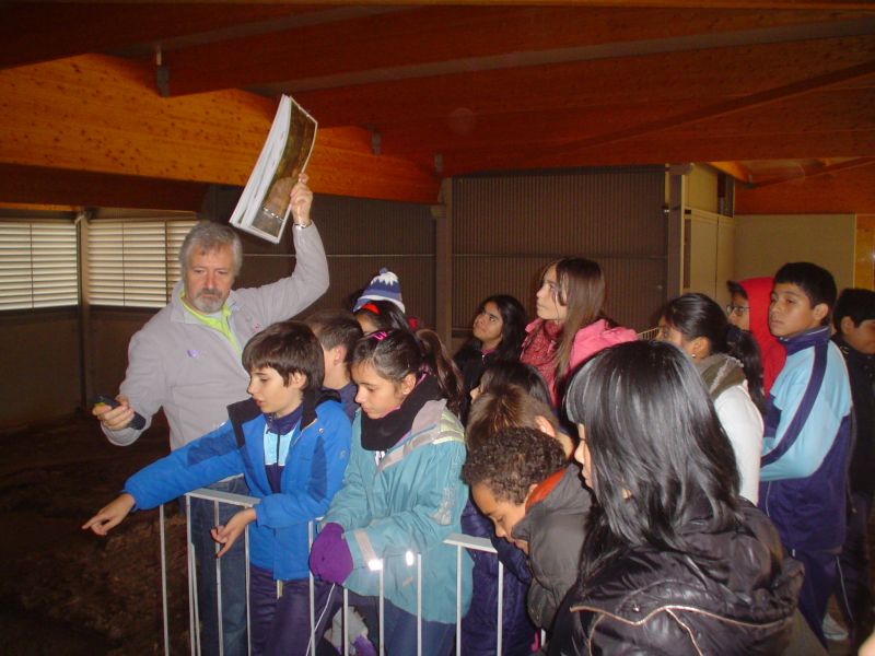 Visita de los alumnos de 4º, 5º y 6º del EP del Colegio San Jose al Museo de la Villa Romana de las Cuevas de Soria