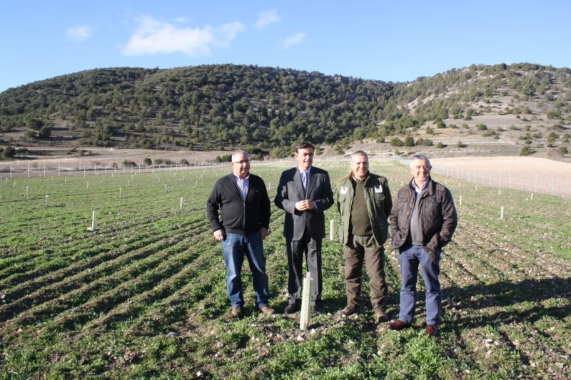 Las ayudas al sector trufero de la provincia de Soria se incrementarán un 25 % hasta los 50.000 euros en 2015