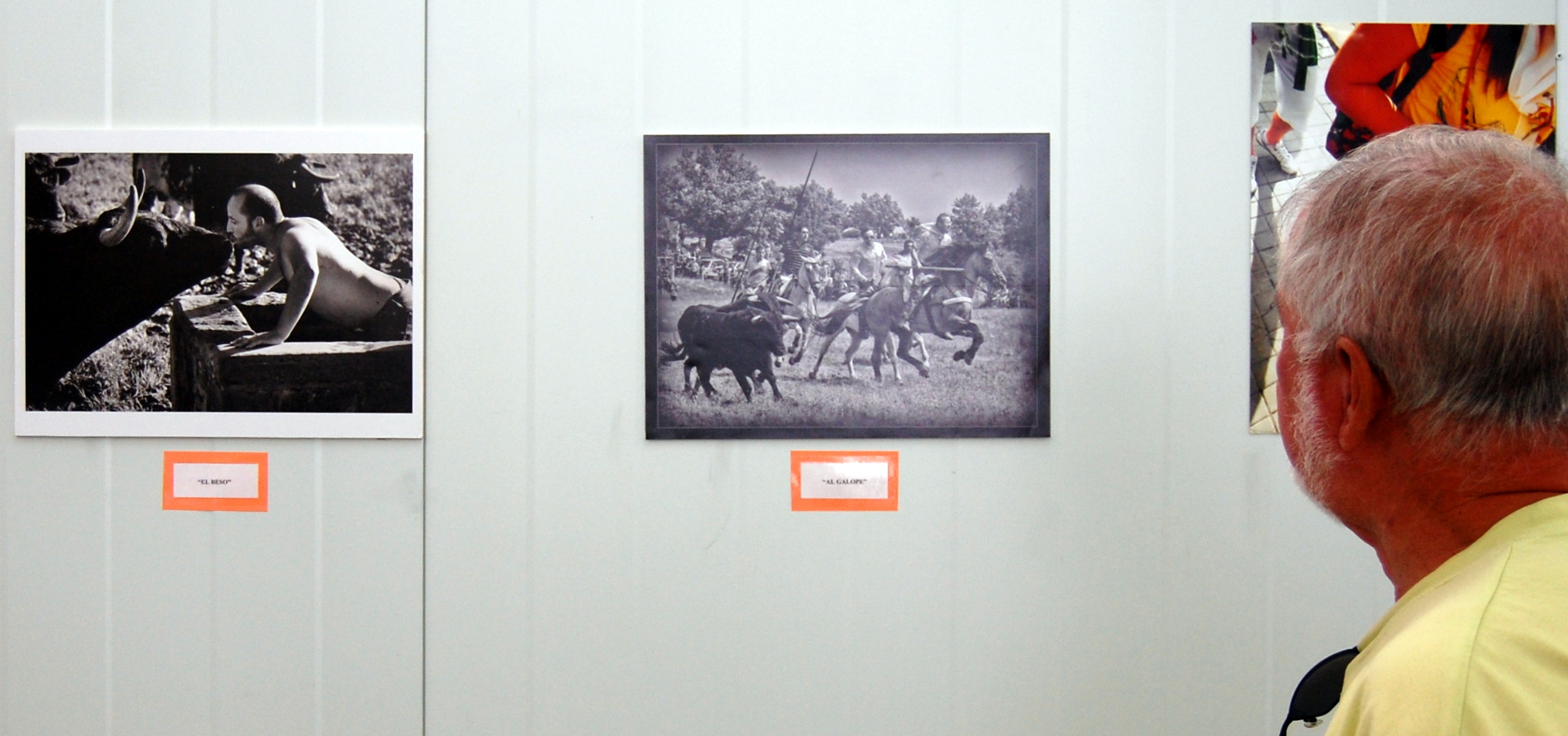 La obra de Juan Carlos Arlegui 